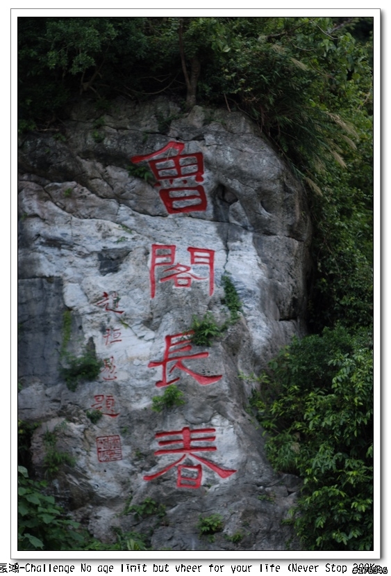 Never Stop 200K 花蓮吃吃喝喝團...(迷路的報導)