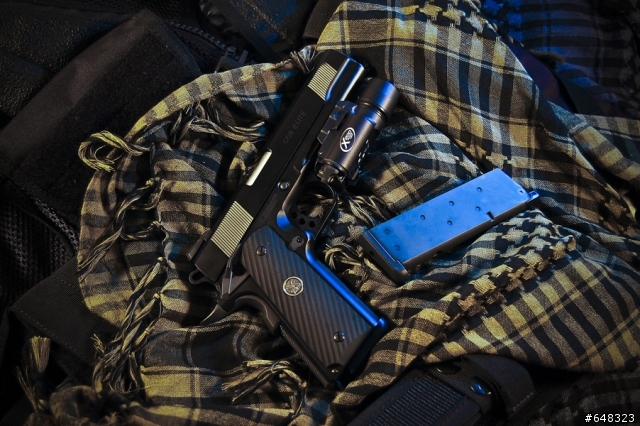 [沒開箱的開箱分享] WE Wilson Combat CQB 手槍