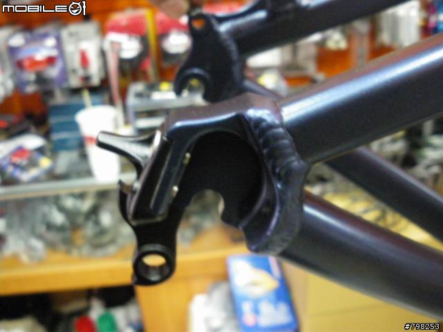 [分享]09年 SANTA CRUZ CHAMELEON 登山車車架