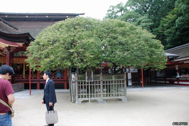 [分享]日本九州.豪斯登堡.天空步道五天四夜之旅