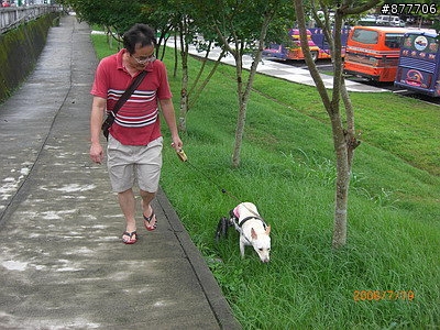 殘障犬白二兵日月潭消遙遊~
