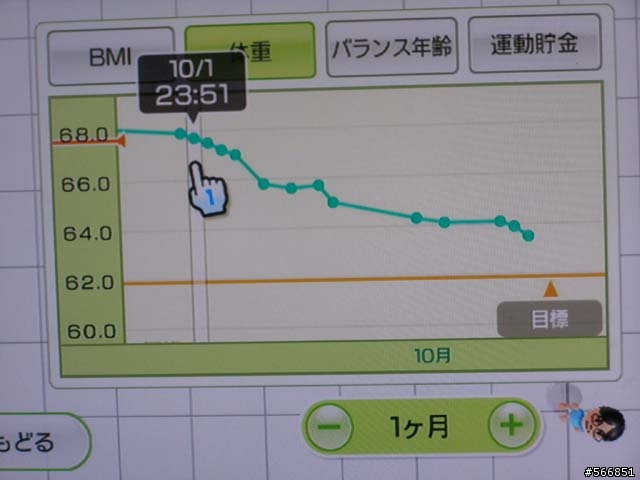 Wii FIT 個人使用心得
