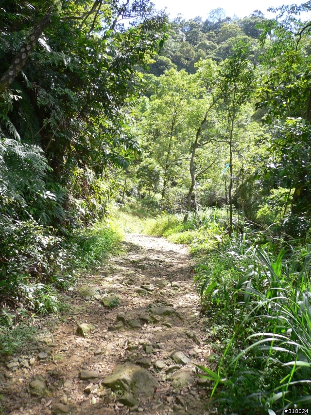 貓空新OFFROAD路線探路報告