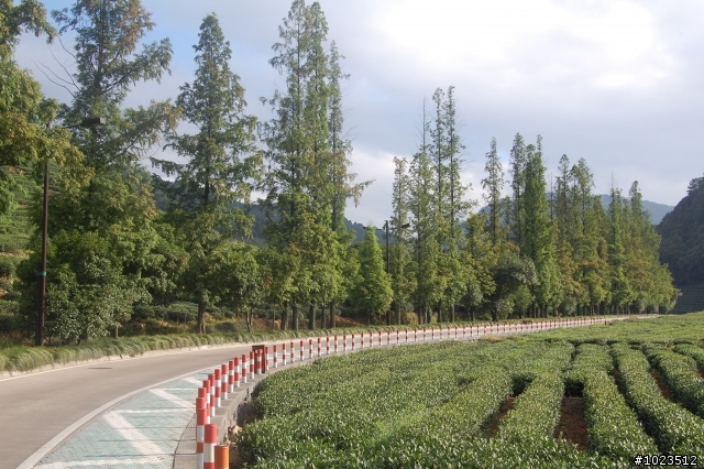 (分享)西湖景區私房路線之梅家塢