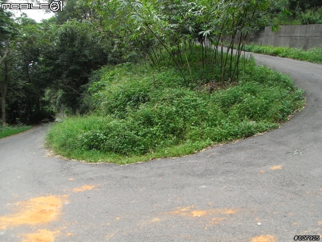 [路線分享]桃園市近郊---環保公園&楓樹村**波斯菊/向日葵盛開了12/19**