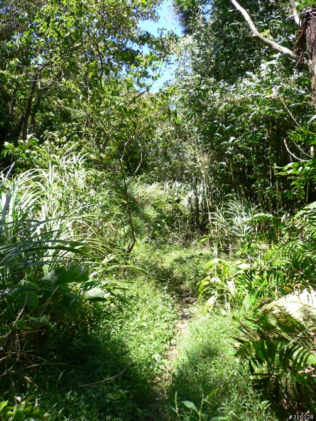 貓空新OFFROAD路線探路報告