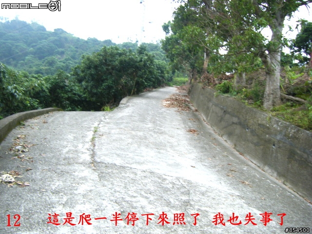 太平-後壁農路到牛角坑路線分享