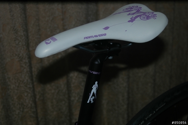 [分享]女王的第一輛公路車Sabinna GP1