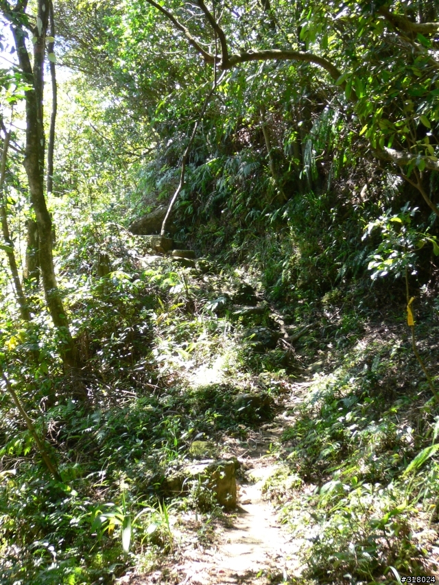 貓空新OFFROAD路線探路報告