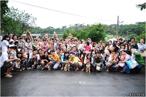 柴犬大學一週年學園祭，熱情邀約