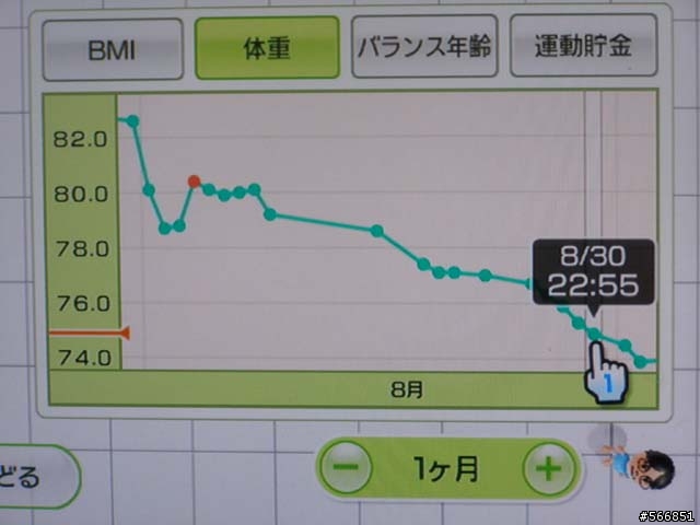Wii FIT 個人使用心得