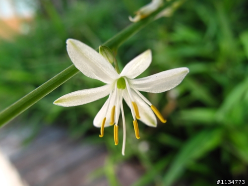 canon G10 隨手拍