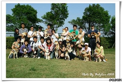 柴犬大學一週年學園祭，熱情邀約