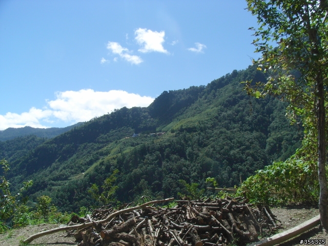 [遊記] 秀鑾-鎮西堡單車一日遊  新竹尖石後山風光
