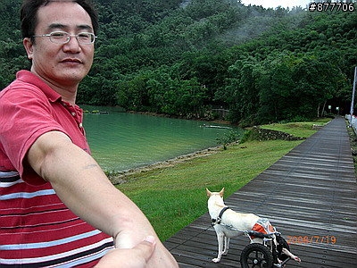 殘障犬白二兵日月潭消遙遊~
