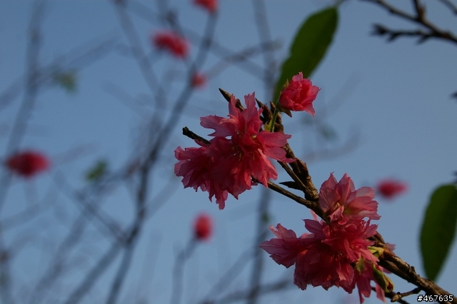 [照片] 10/19大鋤花間之阿賢的第一次還有志銘的復活記