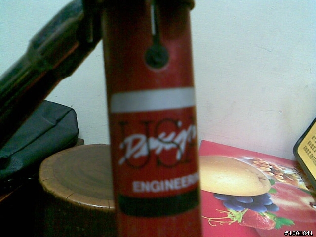 DAHON多年古董小摺