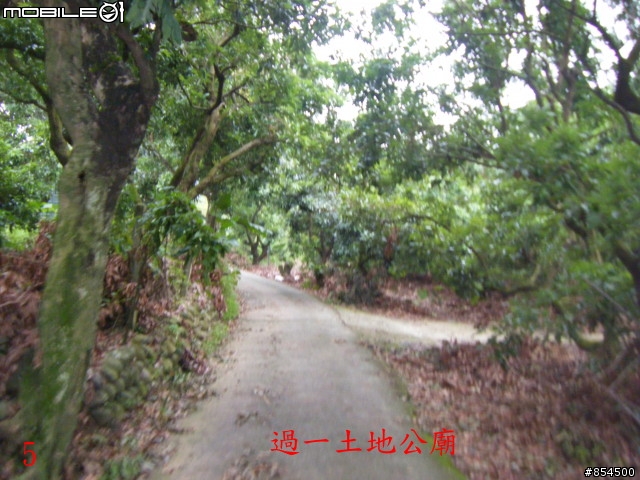 太平-後壁農路到牛角坑路線分享