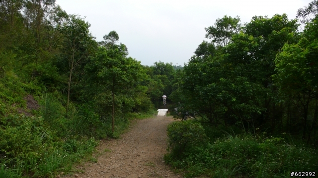20081005寫真集