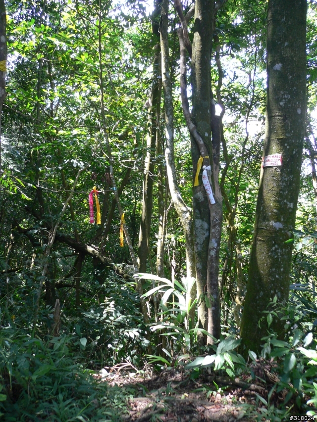 貓空新OFFROAD路線探路報告