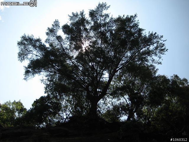 [遊記]自不量力--宇老大滿貫