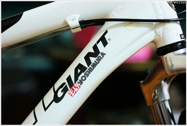 今天心血來潮在我的"yukon"上貼了兩張小貼紙!!!