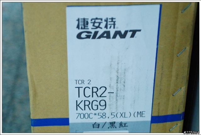 一樣的錢當然是買最大的囉！09 TCR2 XL版
