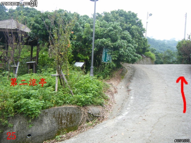 太平-後壁農路到牛角坑路線分享