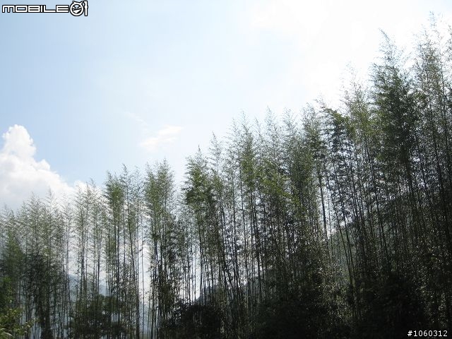 [遊記]自不量力--宇老大滿貫