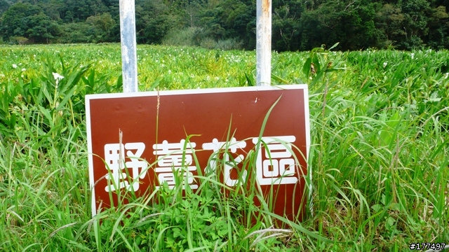 DINK 180i的環島流浪記