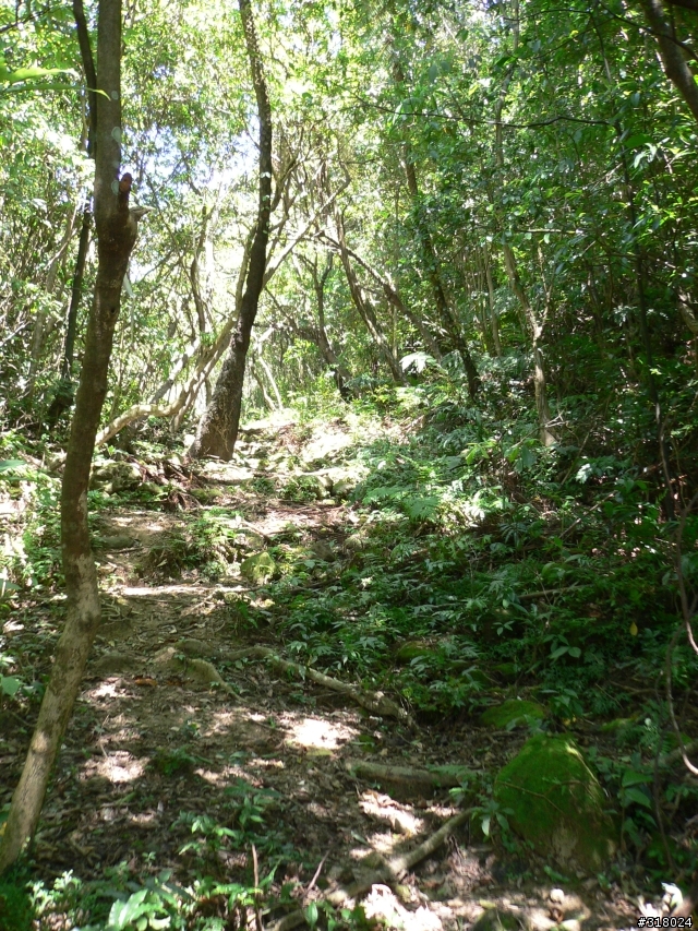貓空新OFFROAD路線探路報告