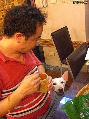 殘障犬白二兵日月潭消遙遊~