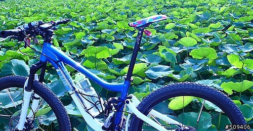 [分享]平價版之千CC水壺攜行方案+自製排汗頭巾帽