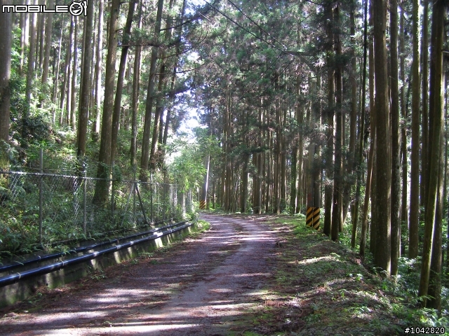 石山林道~~風景好!!