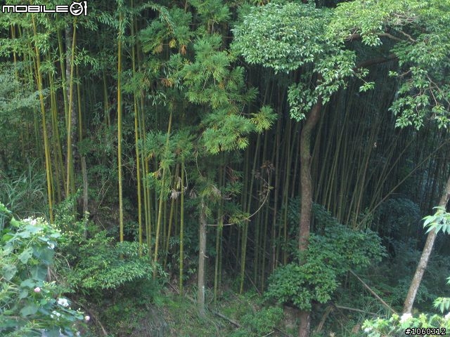 [遊記]自不量力--宇老大滿貫