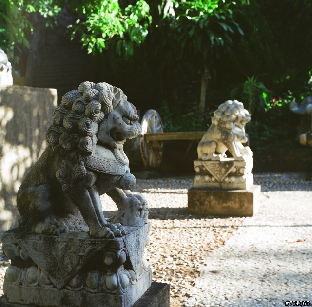 入手yashica MAT-124 6X6 TLR 相機試拍兩捲