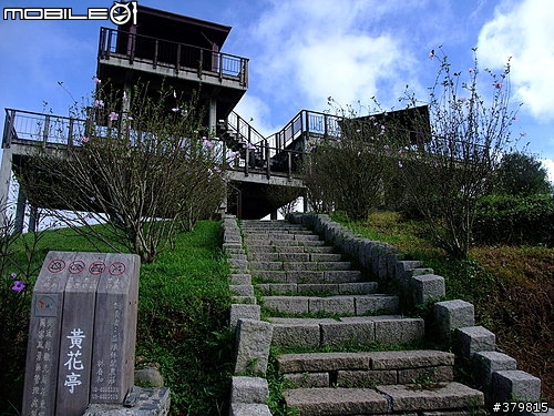 【優活小折】六十石山~單車