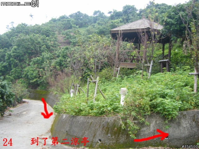 太平-後壁農路到牛角坑路線分享