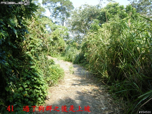 霧峰鄉山林縱騎 象鼻坑-峰谷-南坑-桐林分享