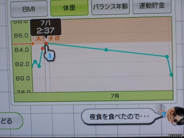 Wii FIT 個人使用心得