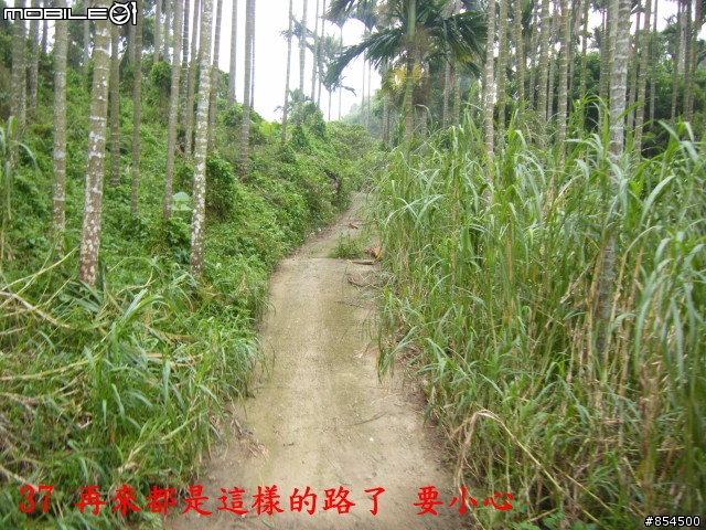 太平-後壁農路到牛角坑路線分享