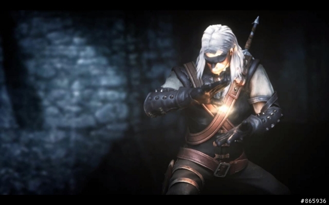 [PC]The Witcher enhanced edition[加強版]拆封分享心得
