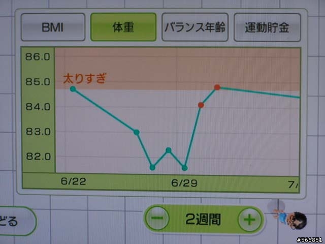 Wii FIT 個人使用心得