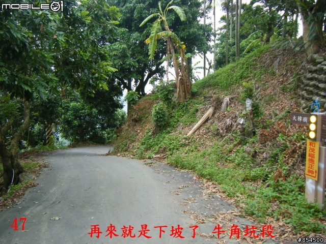 太平-後壁農路到牛角坑路線分享