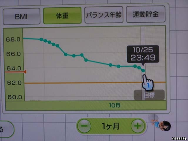 Wii FIT 個人使用心得
