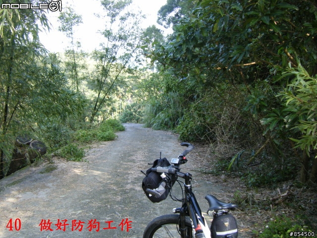 霧峰鄉山林縱騎 象鼻坑-峰谷-南坑-桐林分享