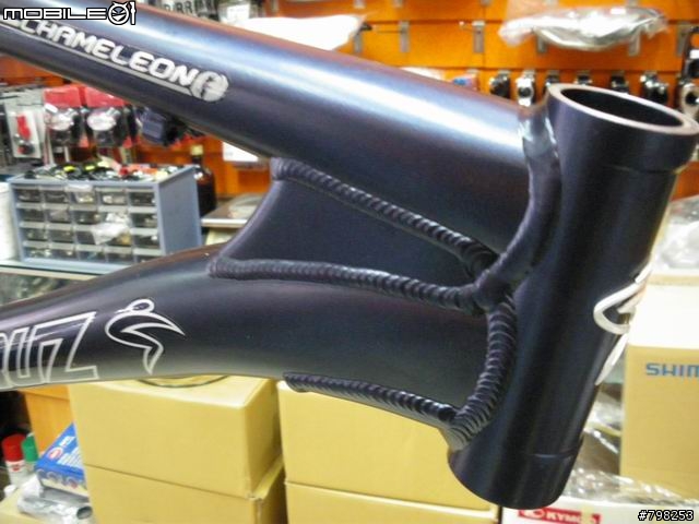 [分享]09年 SANTA CRUZ CHAMELEON 登山車車架