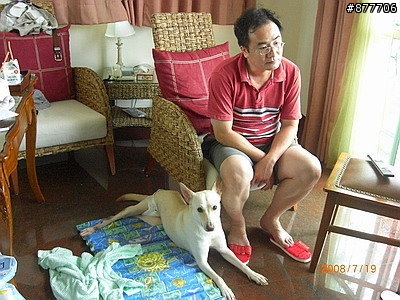 殘障犬白二兵日月潭消遙遊~