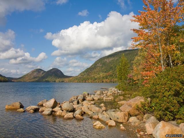 2008美東楓之旅---緬因州 (Acadia National Park)