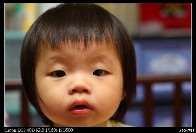 C家鏡皇24-70與50 F1.8的差異?